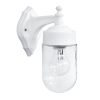 SLP-650AN WHITE ΑΠΛΙΚΑ ΒΙΔΩΤΟ ΓΥΑΛΙ ΘΥΕΛΗΣ
