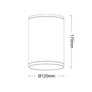 Οροφής E27 PAR30  ROUND CEILING LUMINAIRE 230V AC GOLDEN BLACK IP65 MAX.35W