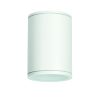 E27 PAR30  ROUND CEILING LUMINAIRE 230V AC MATT WHITE IP65 MAX.35W