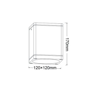 Οροφής E27 PAR30  SQUARE CEILING LUMINAIRE 230V AC GOLDEN BLACK IP65 MAX.35W