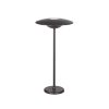 LED SMD TABLE BATTERY LUMINAIRE 2W 260LM 83° 3.000K DARK GREY CRI80 IP54